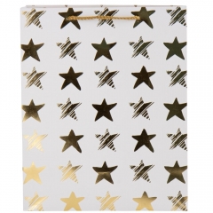 Подарунковий пакет "Золоте свято", 18*23 см (18924-001)