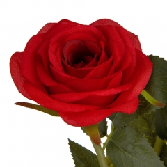 Букет роз, красный (8921-041)