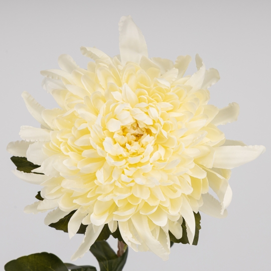Штучна хризантема, кремова, 75 см (2026-012/cream)