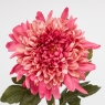 Штучна хризантема, рожева, 75 см (2026-012/mauve)