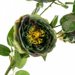 Букет "Полевые пионы зеленые" (8114-004)