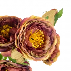 Букет "Полевые пионы светло-розовые" (8114-007)