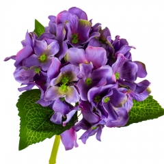 Букет "Гортензия комнатная" синяя (8114-011)