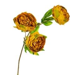 Букет "Пион с 3 -мя бутонами" оранжевый (8114-016)