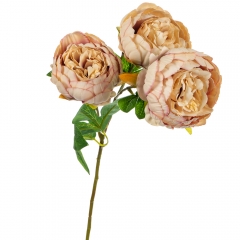 Букет "Пион с 3-мя бутонами" персиковый (8114-017)