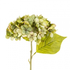 Цветы "Гортензия салатовая" (2002-001/GREEN)