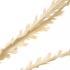 Декоративна гілка, біла (8725-015)