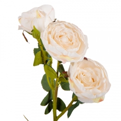 Роза дамасская, нежно-розовая, 56 см (9023-009)