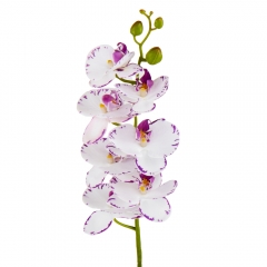 Орхидея "Фаленопсис", бело-фиолетовая, 75 см (9023-014)