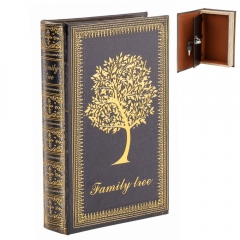 Книга-сейф "Скарби сім