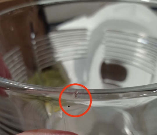 УЦІНКА Лимонадниця 