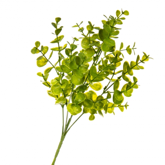 Цветок Эвкалипт (2001-001)