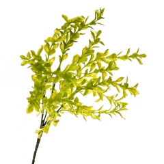 Квітка Самшиту, 37 см (2001-004)