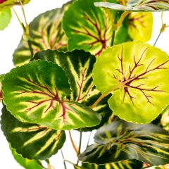 Гілка Філодендрону, 34 см (2001-007)