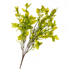 Гілка зелені, 43 см (2001-015)