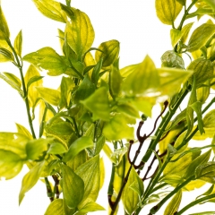 Гілка зелені, 43 см (2001-015)