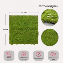 Декоративна панель зі штучного моху, 100*100 см (9224-011)