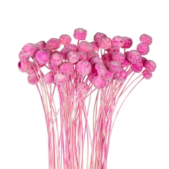 Сухоцветы "Ботао" Розовые (8430-001)