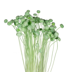 Сухоцвіти "Ботао "Зелені" (8430-002)
