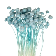 Сухоцвіти "Ботао" блакитні (8430-003)