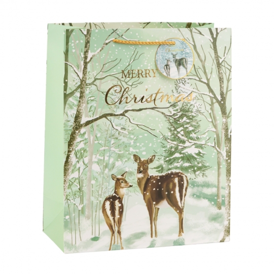 Подарунковий пакет Подарунковий пакет