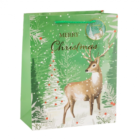 Подарунковий пакет Подарунковий пакет