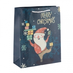 Подарунковий пакет "Різдвяний настрій", 26*32 см * Рандомний вибір дизайну (9266-001)