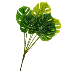 Гілка монстери трав