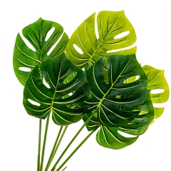 Гілка монстери трав