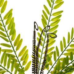 Гілка папороті зелено-жовта штучна (8408-054)