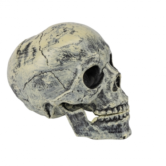 Декор на Хелловін 