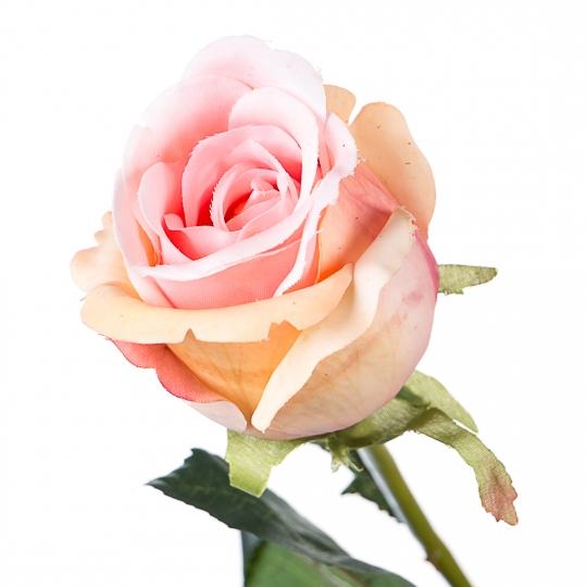 Роза (77 см, силикон) (008F/peach) Роза (77 см, силикон) (008F/peach)