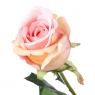 Роза (77 см, силикон) (008F/peach)