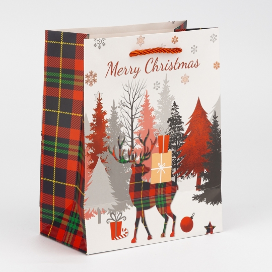 Подарунковий пакет 