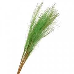 Ковила Салатова, стабілізована (8213-046)