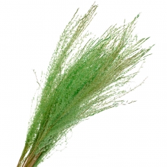 Ковила Салатова, стабілізована (8213-046)