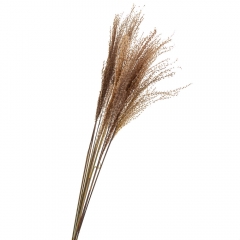 Ковила, стабілізована (8213-049)