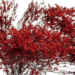 Кермек Красный, стабилизированный (8213-050)