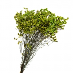 Кермек Зелений, стабілізований (8213-052)