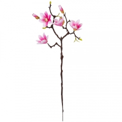 Магнолия "Аврора", розовая, 62 см (9160-010)