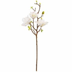 Магнолия "Аврора", кремовая, 77 см (9160-074)