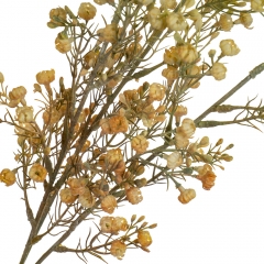 Гілка сухоцвіту польового жовта (8100-003)