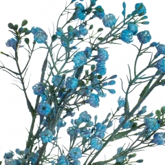 Гілка сухоцвіту польового синя (8100-004)