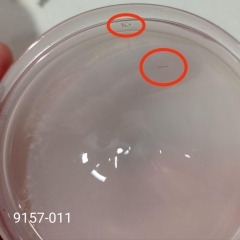 УЦІНКА Ємність для зберігання "Коффа", бежева, 11 см (Дефект фарбування,дефект скла) (00BR-9157-011/1)