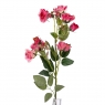Камелия (75 см) (025F/pink)