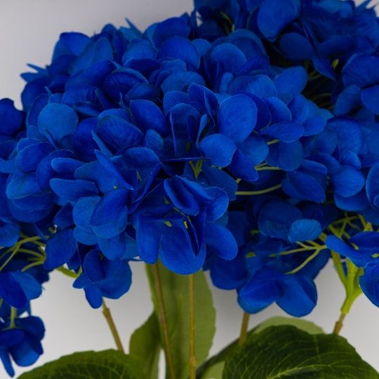 Букет гортензий, 5 бутонов, синий, 48 см (2026-008/blue) Букет гортензий, 5 бутонов, синий, 48 см (2026-008/blue)
