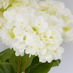 Букет гортензий, 5 бутонов, белый, 48 см (2026-008/white)