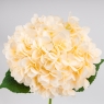 Искусственная гортензия, кремовая, 67 см (2026-009/cr.pink)