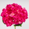 Искусственная гортензия, ярко-розовая, 67 см (2026-009/plum red)