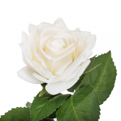 Роза "Розалина", кремовая, 52 см (2000-093WT)